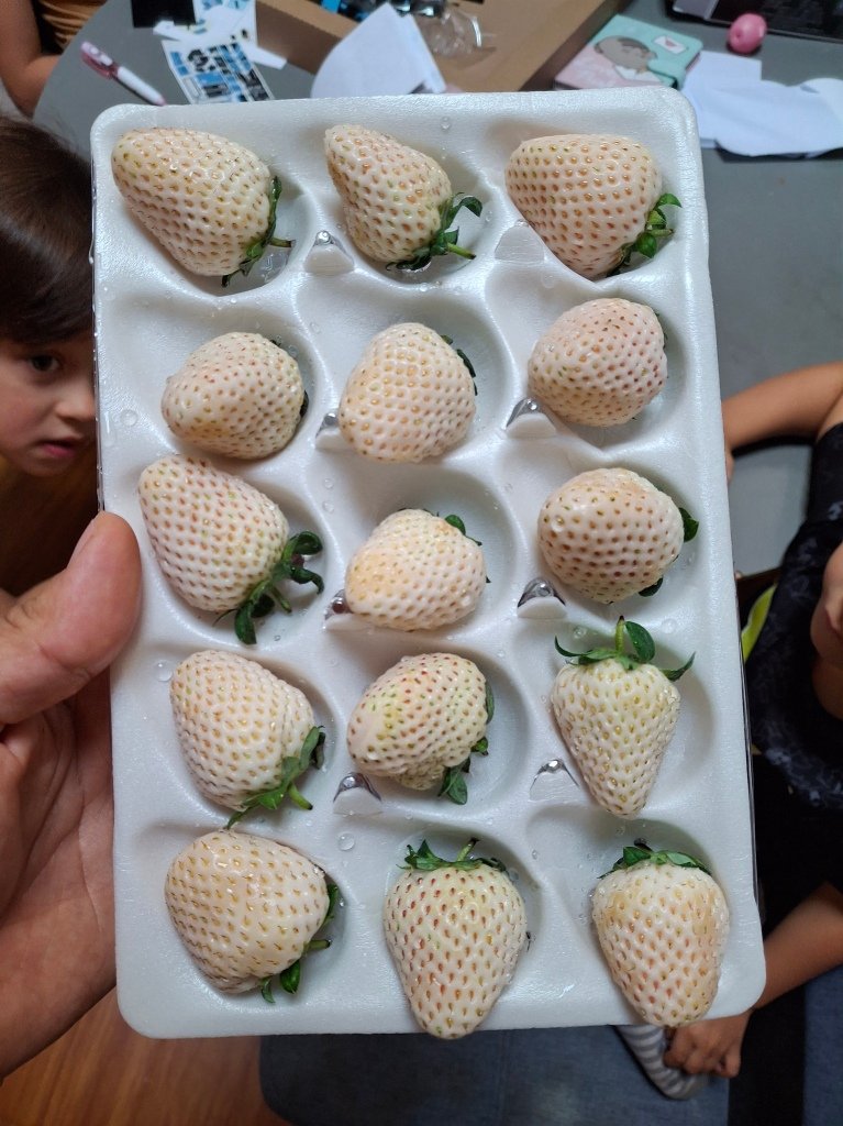 This image has an empty alt attribute; its file name is 20241004_125049.jpg